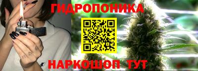 дурь Гусиноозёрск